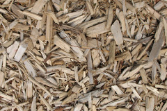biomass boilers Rashielee